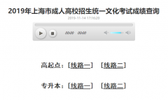 2019年上海成人高考成績查詢?nèi)肟? class=