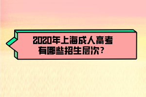 2020年上海成人高考有哪些招生層次?