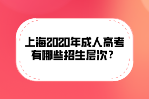 上海2020年成人高考有哪些招生層次?