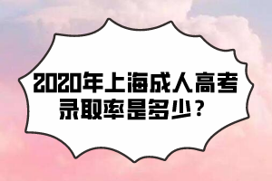 2020年上海成人高考錄取率是多少?