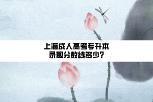 上海成人高考專升本錄取分?jǐn)?shù)線多少?