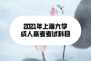 2021年上海大學成人高考考試科目