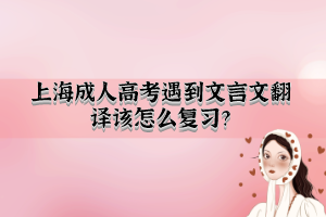 上海成人高考遇到文言文翻譯該怎么復習？