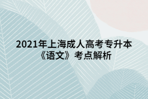 2021年上海成人高考專升本《語(yǔ)文》考點(diǎn)解析