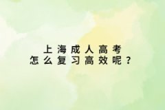 上海成人高考怎么復(fù)習(xí)高效呢？