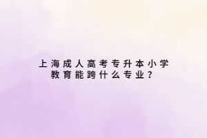 上海成人高考專升本小學教育能跨什么專業？