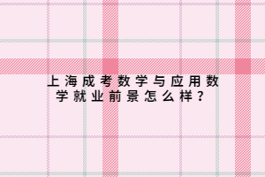 上海成考數(shù)學(xué)與應(yīng)用數(shù)學(xué)就業(yè)前景怎么樣?