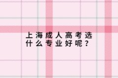 上海成人高考選什么專業(yè)好呢？