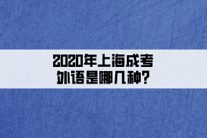 2020年上海成考外語(yǔ)是哪幾種?