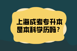 上海成考專升本是本科學歷嗎？