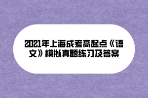 2021年上海成考高起點(diǎn)《語文》模擬真題練習(xí)及答案