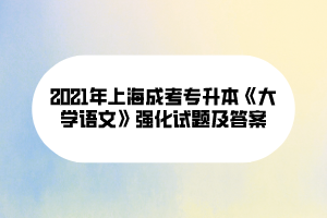 2021年上海成考專升本《大學語文》強化試題及答案