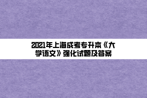 2021年上海成考專升本《大學語文》強化試題及答案