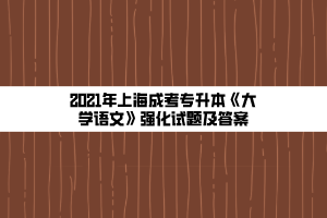 2021年上海成考專升本《大學語文》強化試題及答案