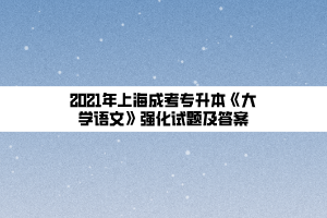 2021年上海成考專升本《大學語文》強化試題及答案