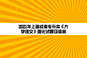 2021年上海成考專升本《大學語文》強化試題及答案