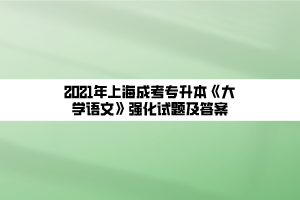 2021年上海成考專升本《大學語文》強化試題及答案