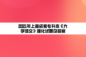 2021年上海成考專升本《大學語文》強化試題及答案