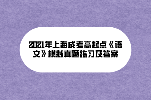 2021年上海成考高起點《語文》模擬真題練習及答案
