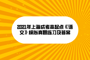 2021年上海成考高起點《語文》模擬真題練習及答案