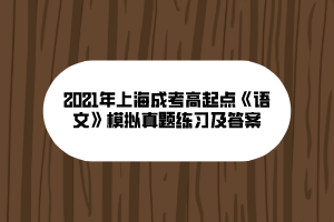 2021年上海成考高起點《語文》模擬真題練習及答案