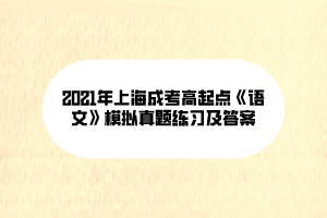 2021年上海成考高起點《語文》模擬真題練習及答案