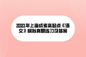 2021年上海成考高起點《語文》模擬真題練習(xí)及答案