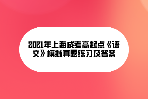 2021年上海成考高起點《語文》模擬真題練習及答案