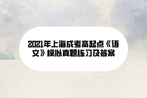 2021年上海成考高起點《語文》模擬真題練習及答案