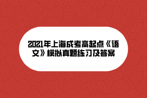 2021年上海成考高起點《語文》模擬真題練習及答案
