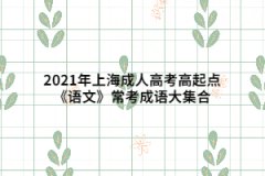 2021年上海成人高考高起點(diǎn)《語(yǔ)文》?？汲烧Z(yǔ)大集合