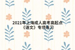 2021年上海成人高考高起點(diǎn)《語(yǔ)文》專項(xiàng)練習(xí)：詞語(yǔ)